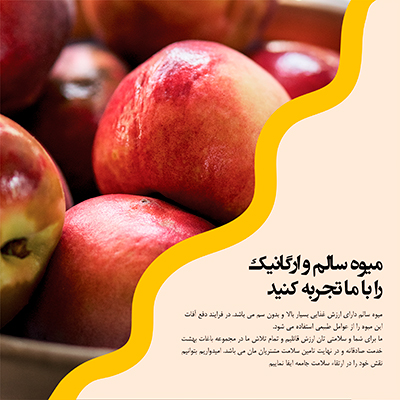 قالب کاروسل اینستاگرام